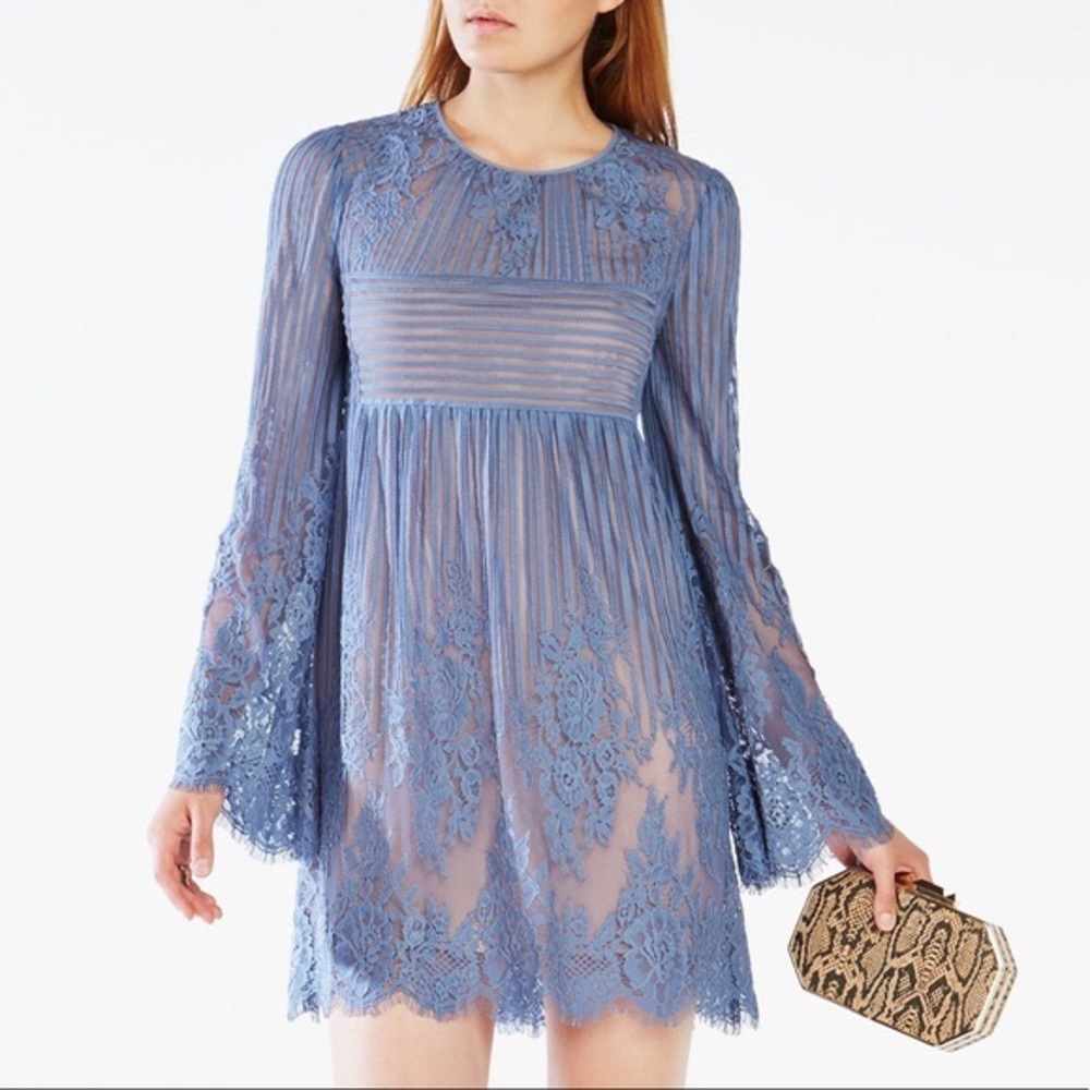 BCBG Floral Lace Dress
